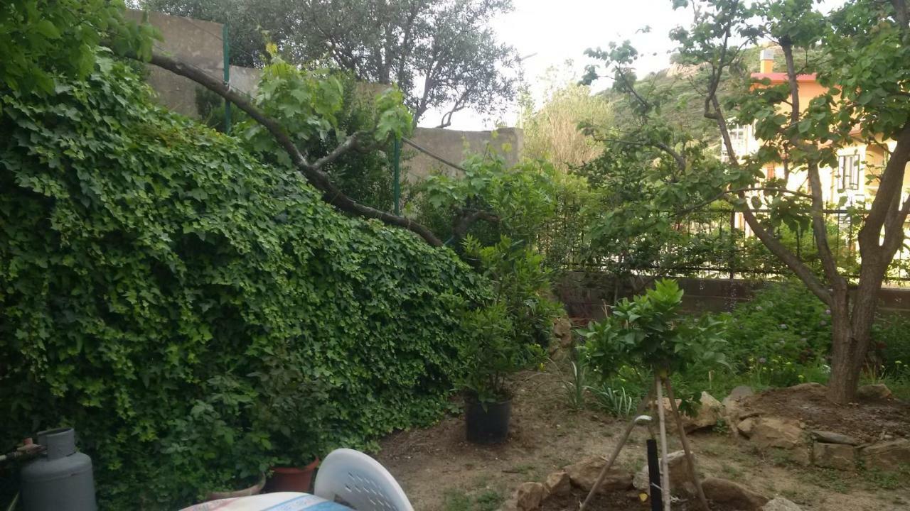 Apartamento Lovely House Nebida Exterior foto