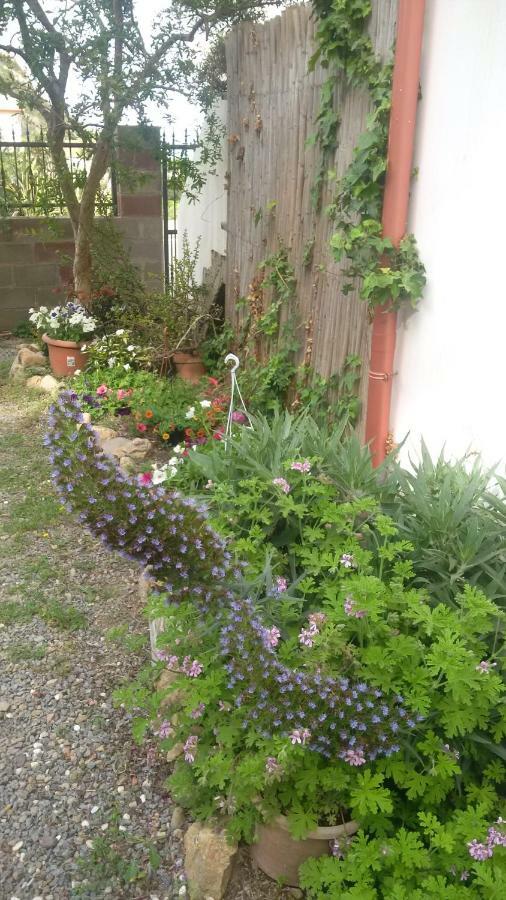 Apartamento Lovely House Nebida Exterior foto